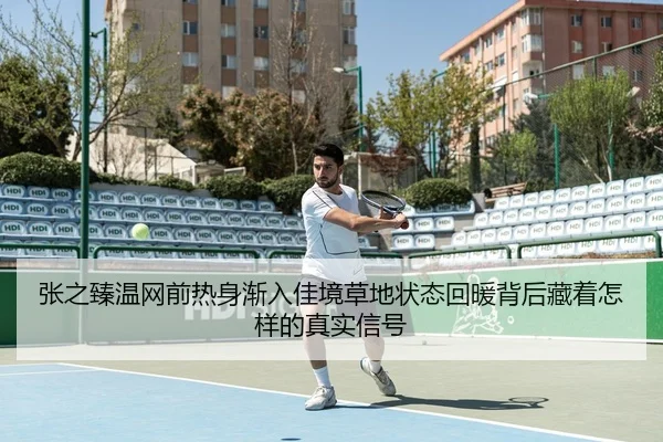 张之臻温网前热身渐入佳境草地状态回暖背后藏着怎样的真实信号